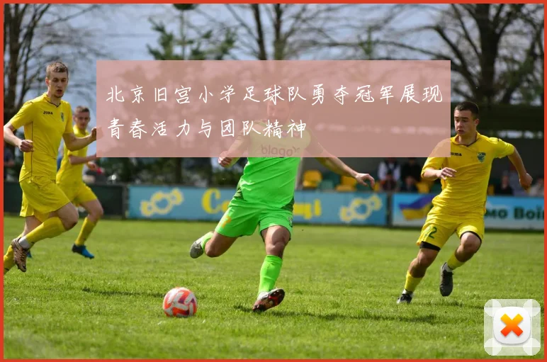 北京旧宫小学足球队勇夺冠军展现青春活力与团队精神