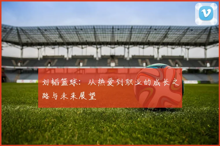 刘韬篮球：从热爱到职业的成长之路与未来展望