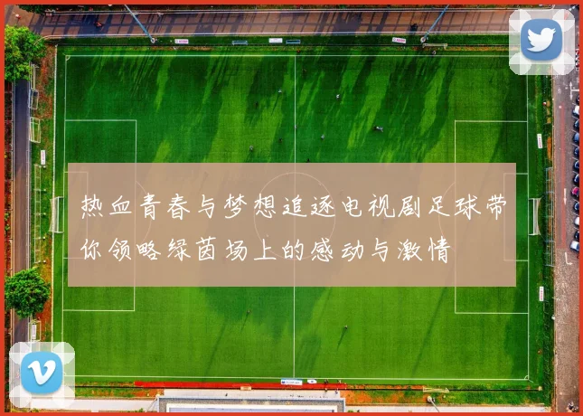 热血青春与梦想追逐电视剧足球带你领略绿茵场上的感动与激情