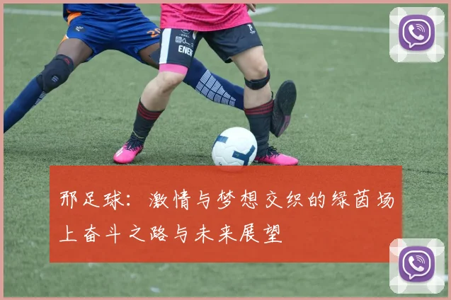 邢足球：激情与梦想交织的绿茵场上奋斗之路与未来展望
