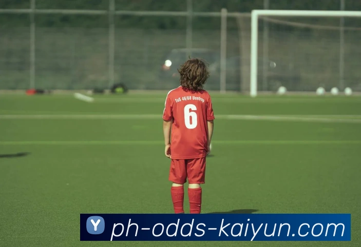 Kaiyun官网平台生态图